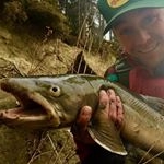 Profile Picture of Dustin (@dshanks86) on Instagram