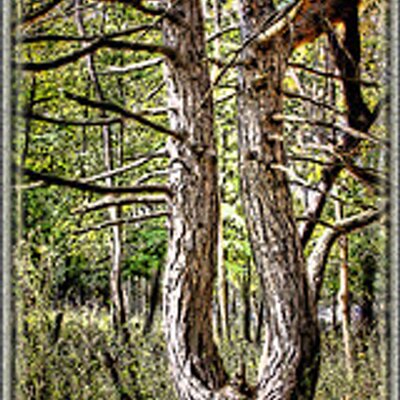 Profile Picture of GEORGE FALLOWS (@GEORGEFALLOWS1) on Twitter