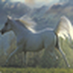 Profile Picture of Hoba2010 (@hoba2010) on Flickr