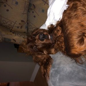 Profile Picture of Massé Marc (@MassMarc2) on Twitter