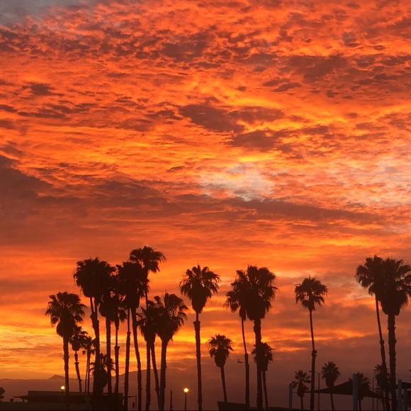 Profile Picture of Feng Liu (@cottonton) on Poshmark