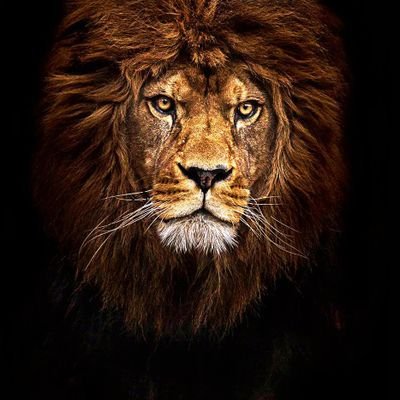 Profile Picture of William Mallette (@chillwill727) on Twitter