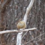 Judy Lloyd - Instagram Profile Picture of Judy Lloyd (@lloyd.judy) on Instagram