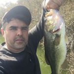 Profile Picture of Juan Fernando Chavira (@fishjuan1) on Instagram