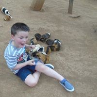 Profile Picture of Andrew Austin (@andrew-austin-61) on Quora