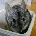 Profile Picture of Kevin Rürup (@kevin.rurup) on Instagram