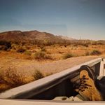 Profile Picture of David Woodbridge (@neuro.qualia) on Instagram