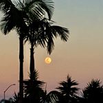 Profile Picture of Chad Bickley (@bicjr) on Instagram