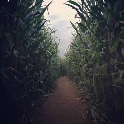 Profile Picture of Dirk Herman (@DirkHerman326) on Twitter
