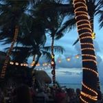 Jim McDougall - Instagram Profile Picture of Jim McDougall (@jim9941) on Instagram