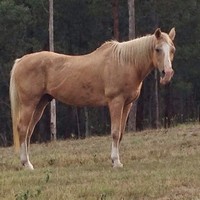 Profile Picture of Jill Harding-clark (@jill-harding-clark) on Quora