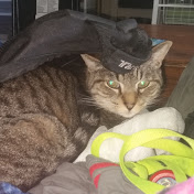 Profile Picture of Jerri Barber (@jerribarber2458) on Youtube