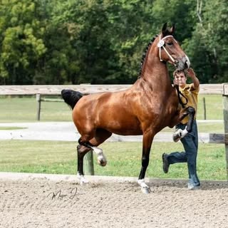 Profile Picture of Jason Schmucker (@jasonschmucker) on Instagram