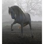 Profile Picture of eric capel (@ericcapel2) on Instagram