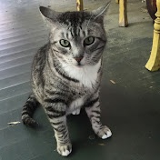 Profile Picture of Laura Solomon (@lagsolo) on Youtube