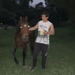 Profile Picture of Felipe Calderón (@_felipecalderon) on Instagram