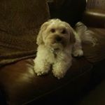 Profile Picture of roberta Burton (@robertaburton1953) on Instagram