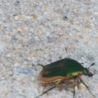 Profile Picture of Eric Midgett (@eric-midgett-2) on Quora