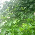 Profile Picture of Jean Spinald Saint Vil (@Jean-Spinald-Saint-Vil) on Facebook