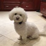Profile Picture of Leigh Chase (@schase5) on Instagram