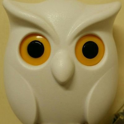 Profile Picture of Wong Cham (@WongCham3) on Twitter