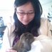 Profile Picture of Man Zheng (@MandyZheng2012) on Twitter