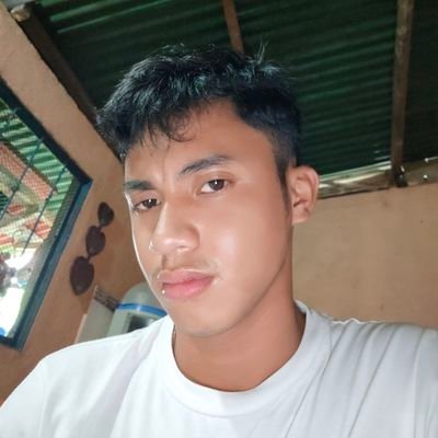 Profile Picture of Christian Dave F. Napoles (@Christi86377123) on Twitter