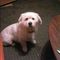 Profile Picture of Kimberly Ruark (@kimberly.ruark.90) on Facebook