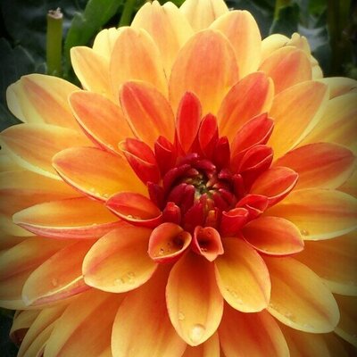 Profile Picture of Dianne Leach (@GmaDi7) on Twitter