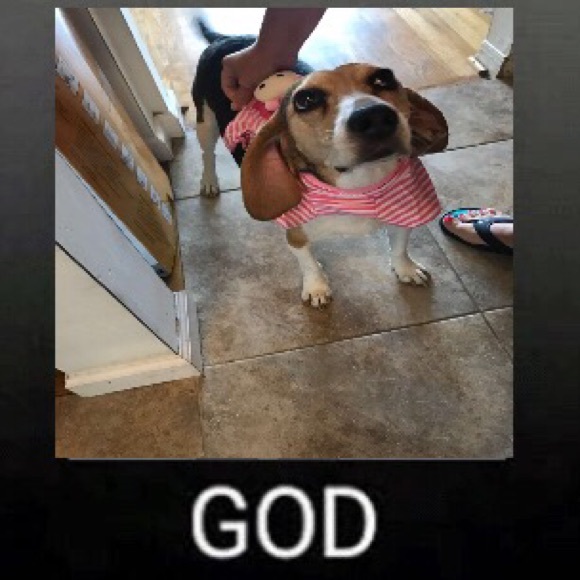 Profile Picture of Billy Dilauro (@billyd489) on Poshmark