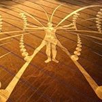 Profile Picture of Jerry Bremer (@bremerjerry) on Instagram