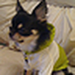 ken sato - Flickr Profile Picture of ken sato (@ketero) on Flickr