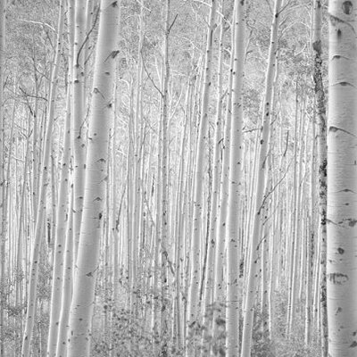 Caryn Morgan - Twitter Profile Picture of Caryn Morgan (@TotE_CM) on Twitter