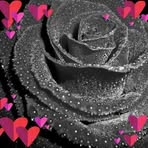 Profile Picture of Simone Schuster (@simone.schuster.10297) on Facebook