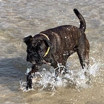 Profile Picture of Beverley Murphy (@John_Bev_Murph) on Twitter