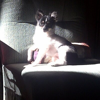Profile Picture of Crystal Talbert (@ktnjag01) on Twitter