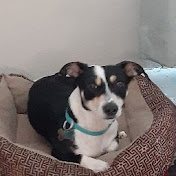 Profile Picture of Christopher Wright (@christopherwright2402) on Youtube