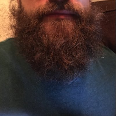 Rory's Beard - Twitter Profile Picture of Rory's Beard (@rorysbeard) on Twitter