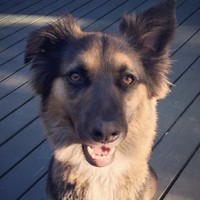 Profile Picture of Cody Loggins (@cody-loggins-1) on Quora