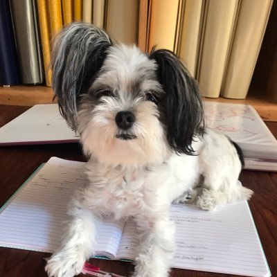 Profile Picture of Nathan Pape (@NathanPape52) on Twitter