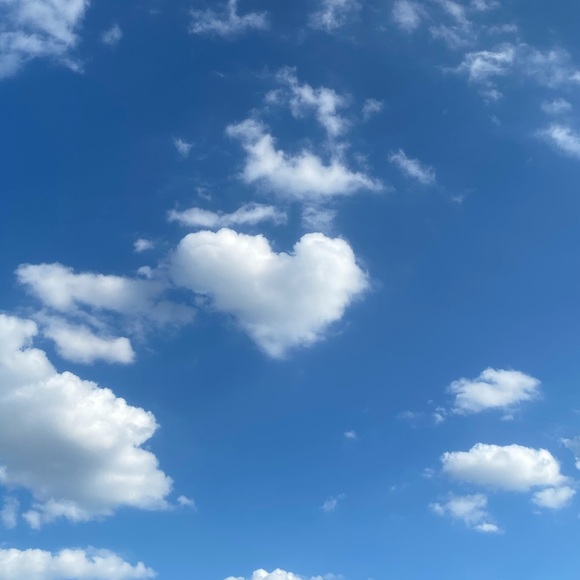 Profile Picture of Erika Stormer (@stormeez) on Poshmark