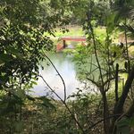 Profile Picture of Adam Littleton (@adam.littleton) on Instagram