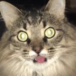 Danny - Instagram Profile Picture of Danny (@dmudd22) on Instagram