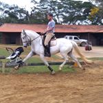 Profile Picture of Daniel Nascimento (@escola_danielnascimento) on Instagram