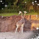 Gretta Smith - Instagram Profile Picture of Gretta Smith (@gretta.smith.79) on Instagram