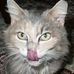 Profile Picture of Richard Kurman (@richard.kurman.9) on Facebook