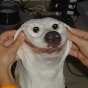 Profile Picture of Blake Fabian (@blakefabian205) on Youtube