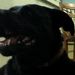 Profile Picture of Fay Duncan (@fayduncan) on Pinterest
