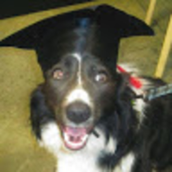 Profile Picture of Paula Thayer (@pdthayer115) on Poshmark