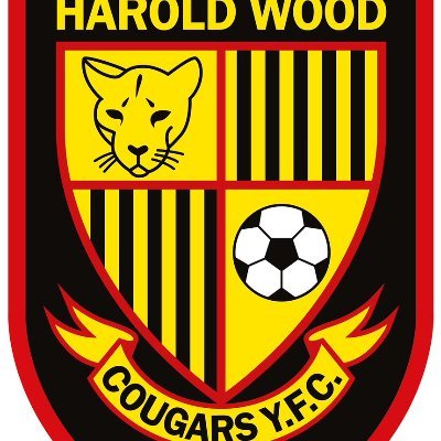 Profile Picture of Harold Wood Cougars Red U15 🟡⚫ (@HWC_Red) on Twitter